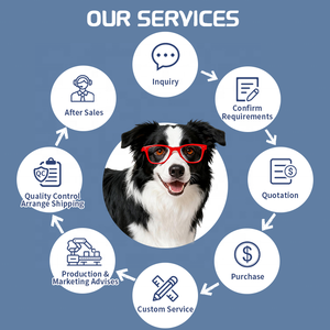 Polvere di Brodo di Ossa OEM ODM per Cani e Gatti, Gusto Personalizzato, Integratore per la Salute degli Animali Domestici, Supporto per la Salute delle Articolazioni - Product Image 3