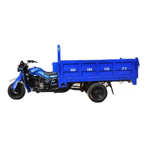 2024 Top Seller gasoline 5 Wheels Cargo Tricycle 150cc 200cc Motorcycle Engine for Efficient Cargo Transport