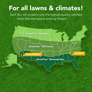 Growtrax biodégradable 50 pieds carrés rouleau <span class=keywords><strong>de</strong></span> fixation rapide année tapis d'herbe verte pour le <span class=keywords><strong>jardin</strong></span> chien patchs ombre juste pots <span class=keywords><strong>de</strong></span> fleurs jardinières - Product Image 2