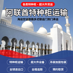 Service d'import-export de conteneurs surdimensionnés pour les Émirats arabes unis, conteneurs frigorifiques à ouverture supérieure, emballage de levage, support logistique complet - Product Image 4