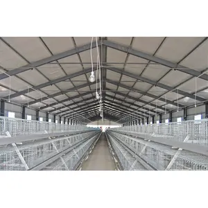 Structure en acier préfabriquée de haute qualité à faible coût coût coût de construction de ferme de poulets conception maison bâtiment de hangar à volaille