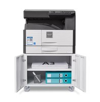 Support d'imprimante vintage en métal à double porte, piédestal mobile en acier, armoire de classement, établi pour photocopieur en acier avec roulettes pivotantes