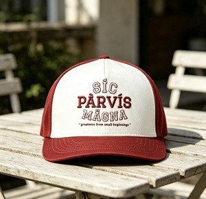 Gorra de Béisbol Bordada Personalizada, Estilo Hip Hop, Talla Ajustable, Gorras de Alta Calidad de Marca - Product Image 6