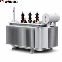 Transformateur à huile en alliage amorphe Wanbo-512 S20 avec jauge d'huile transparente, pince verte, enroulement en cuivre 10kV, kVA personnalisé