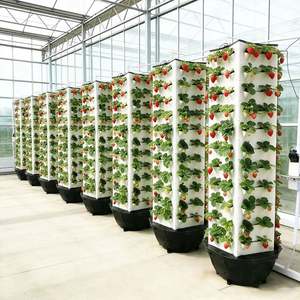 Sistema de Torre Hidropónica de Cinco Niveles, Torre de Cultivo Vertical sin Suelo, Equipo Hidropónico Modular África - Product Image 4