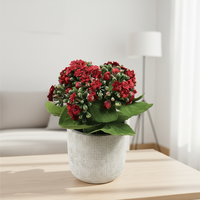 Plantes en pot artificielles de longue durée de vie, fleurs de Noël réalistes, écologiques, en polyester, pour la décoration de bureau, toucher réel