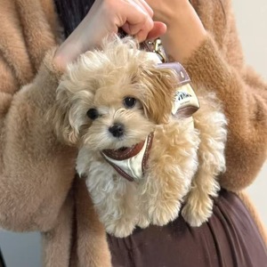 Luxuriöser Hunde- & Katzen-Schulter-/Handrucksack aus Kunststoff, tragbarer, leichter, atmungsaktiver Träger für kleine bis mittelgroße Haustiere - Product Image 4