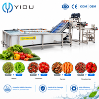 Yido Industriële Fruit- en Groentewasser Automatische Belletjesreinigingsmachine Motor 380V voor Appel Mango Aardbei Sla Wortel