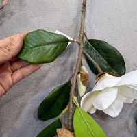 LE-512 Harga Pabrik Grosir Cabang Magnolia Buatan Bunga Sutra Yulan Palsu untuk Dekorasi Pernikahan, Rumah, Vas, dan Rangkaian Bunga