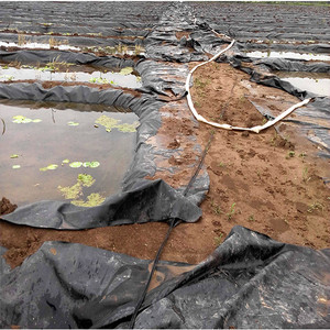 Không thấm nước <span class=keywords><strong>geomembrane</strong></span> nhựa geomembranes 20 mil HDPE lót <span class=keywords><strong>geomembrane</strong></span> giá - Product Image 4