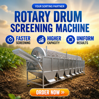 Fruit- en groentesorteermachine met motor voor wortelgewassen en productielijnverwerking