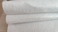 Tissu non tissé en viscose de type PET HUALUN, matière spun-bonded, pour emballage