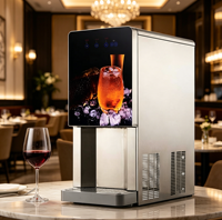 Machine à eau glacée portable en acier inoxydable avec affichage numérique, 5L, 220V, pour bureau et salle de pause