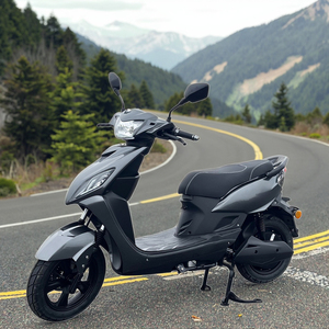 Moto électrique personnalisée à grande vitesse 45 km/h L1e-b COC pour deux passagers - Product Image 4