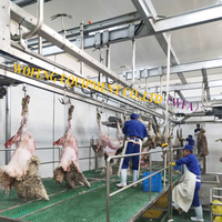 Abattoir halal pour moutons, processus d'abattage de la viande d'agneau