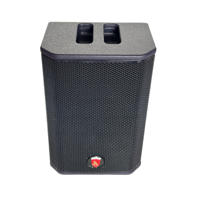 8 Inch Party Portable With Wireless Mic Instrumental Bluetooth Speaker