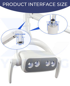 <span class=keywords><strong>Lampe</strong></span> de thérapie par induction 4 perles montée au <span class=keywords><strong>plafond</strong></span> chirurgical de dentisterie sans ombre utilisée dans les cliniques dentaires ou de beauté et l'hôpital - Product Image 3