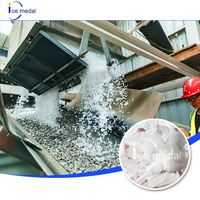 Fabriqué en Chine, générateur de glace en flocons robuste de 10 tonnes - Conçu pour la conservation à grande échelle de la volaille et de la viande.