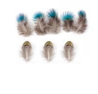 Plume de Paon Naturelle de 3 à 8 cm, pour Coiffure, Costumes de Carnaval, Danse, DIY