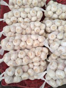 Nueva cosecha de Ajo Blanco de China Fresh Alho Ajo al por mayor-Fabricado por suministro - Product Image 5