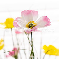 Fleurs artificielles de qualité supérieure en gros pour la décoration de mariage, bouquets, fleurs en plastique, hibiscus à branche unique, fleur Geshang