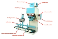 Large-capacity Packaging Plastic Pellets Fertilizers Cat Litter Desiccants Rice Sugar Packing Weighing Filling Machine