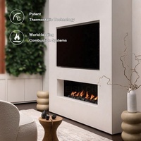 Cheminée murale encastrée moderne MEISU.CH, au gaz naturel ou GPL, pour maison et hôtel, cheminée au gaz OEM