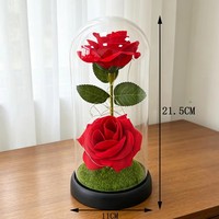 Cadeaux romantiques pour la Saint-Valentin, la remise des diplômes, les mariages, lampes décoratives à LED avec couvercle en verre pour intérieur/extérieur, ornements en forme de rose.