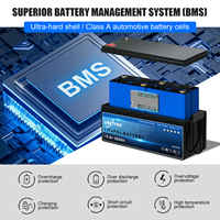 Baterai Penyimpanan Energi Surya EU US Stock LiFePo4 12v 24v 50ah 100ah 200ah 300ah 400ah dengan Pemanas untuk RV, Perjalanan, dan Kemah di Luar Ruangan