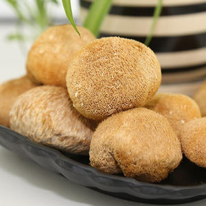 Detan-granja seca de leones, seta de melena con alta calidad - Product Image 2