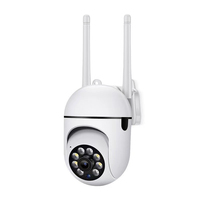 Vente chaude 720P Mini caméra extérieure sans fil WiFi PTZ Mini caméra de sécurité intérieure Portable à vision nocturne