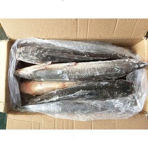 Bagre Congelado para Servicios de Alimentación, Suministro a Granel para Restaurantes y Distribuidores - Product Image 1