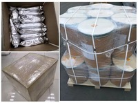 Starter de yaourt de qualité alimentaire, probiotiques Lactobacillus Rhamnosus 10 milliards UFC/g, Lactobacillus Rhamnosus pour la fermentation du yaourt