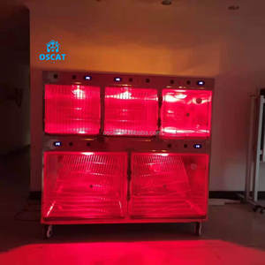 OSCAT en uygun fiyat veteriner araçları dayanıklı Vet 5 kapı kafesi veteriner hastane kafes setleri - Product Image 4