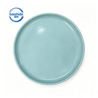 Assiette de présentation en porcelaine bleu clair, brillante, ronde, à double rebord, design personnalisé, passe au lave-vaisselle, classique, 21 cm, pour les fêtes et l'usage domestique
