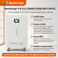Batterie LiFePO4 séparée 16,08 kWh 314 Ah, puissance de fonctionnement 8 kW, puissance de crête 10,2 kW pour climatiseur, pompe à eau, hybride, hors réseau, maison