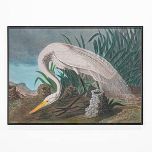 Peinture sur toile HERON BLANC avec cadre en acrylique noir 65x90cm épaisseur 5cm - Product Image 1