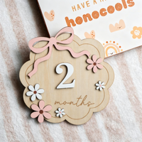 Disques de photos mensuels pour bébé, pour immortaliser les étapes importantes |   Marqueur de paliers mensuels |   Cartes de jalons importantes |   Panneaux mensuels pour la fête prénatale