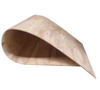 Contreplaqué flexible courbé 1220x2440mm 8/9/12mm pour meubles modernes et artisanat, qualité supérieure