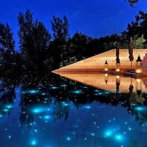 <span class=keywords><strong>Kit</strong></span> d'éclairage de <span class=keywords><strong>plafond</strong></span> en fibre optique <span class=keywords><strong>ciel</strong></span> <span class=keywords><strong>étoilé</strong></span> pour piscine, éclairage de bassin en fibre optique - Product Image 1