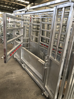 Équipement complet pour élevage : Étrier à bétail robuste en acier galvanisé avec goulotte de compression, panneaux de pesée et clôture grillagée.