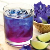 Thé instantané de fleurs de pois papillon Matcha bleu sain, colorant alimentaire naturel, sans caféine, pour smoothies et boissons