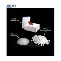 Machine de moulage de forme de boîte de poisson EPS de petite taille numérique BES