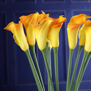 عالية المظهر الطبيعي الاصطناعي بو الأبيض زنبق كالا زهرة اللمس الحقيقي بالجملة لغرفة المعيشة الزفاف الديكور في الهواء الطلق - Product Image 5