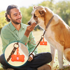 Distributeur de sacs à déjections canines, boîte de rangement pour sacs à déjections, outil de ramassage des excréments pour animaux de compagnie, accessoires pour promener le chien - Product Image 4