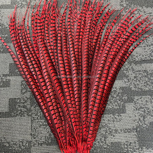 100-110 cm Rouge Lady Amherst Faisan <span class=keywords><strong>Plume</strong></span> Plumes Teints pour Mariage Carnaval Danse Performance Costumes Vêtements Décoration - Product Image 5