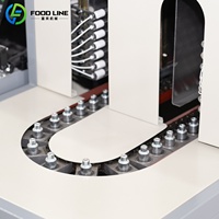 Machine de soufflage de bouteilles semi-automatique pour bouteilles de 20L