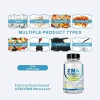 Kapsul HDK OEM ODM ZMA 510mg Seng Magnesium Vitamin B6 Peningkat Penyerapan Imunitas Dukungan Otot
