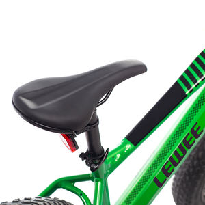 Vente en gros d'usine Vélo électrique 250w 48V Moteur à <span class=keywords><strong>cassette</strong></span> arrière Bafang 7 vitesses Vélo électrique pour adultes - Product Image 4