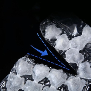 Food Grade Disposable Ice Packs Mold Clear Sealing Ice Grid Bag Passion Fruit Block Artifacts Home Use <b>Plastic</b> <b>Packaging</b> - Product Image 4
